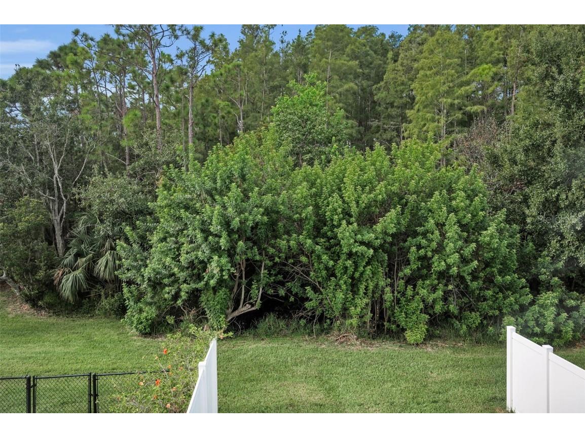 271 Hemingway Drive Oldsmar FL 34677 TB8426952 image21