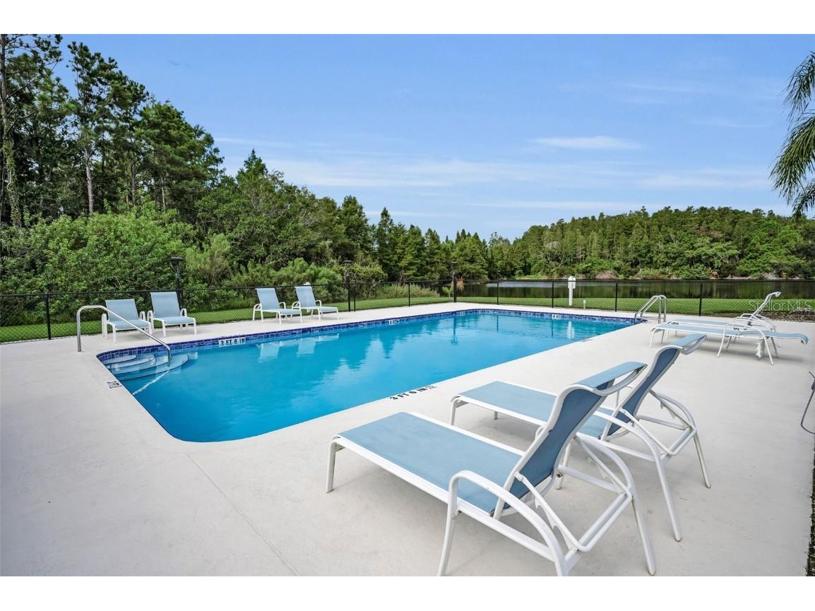 271 Hemingway Drive Oldsmar FL 34677 TB8426952 image29