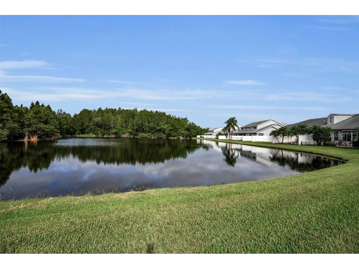 271 Hemingway Drive Oldsmar FL 34677 TB8426952 image31