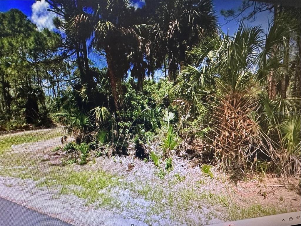 271 J T Sancho Street SW Palm Bay FL 32908 A4596897 image2