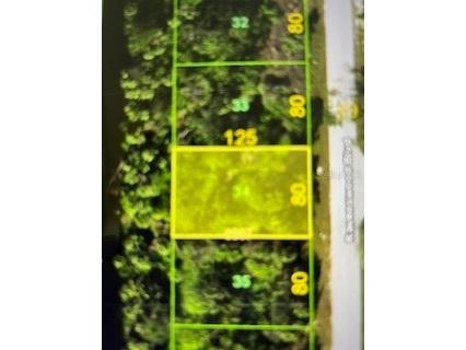 271 Ravenswood Boulevard Port Charlotte FL 33954 C7516993 image1