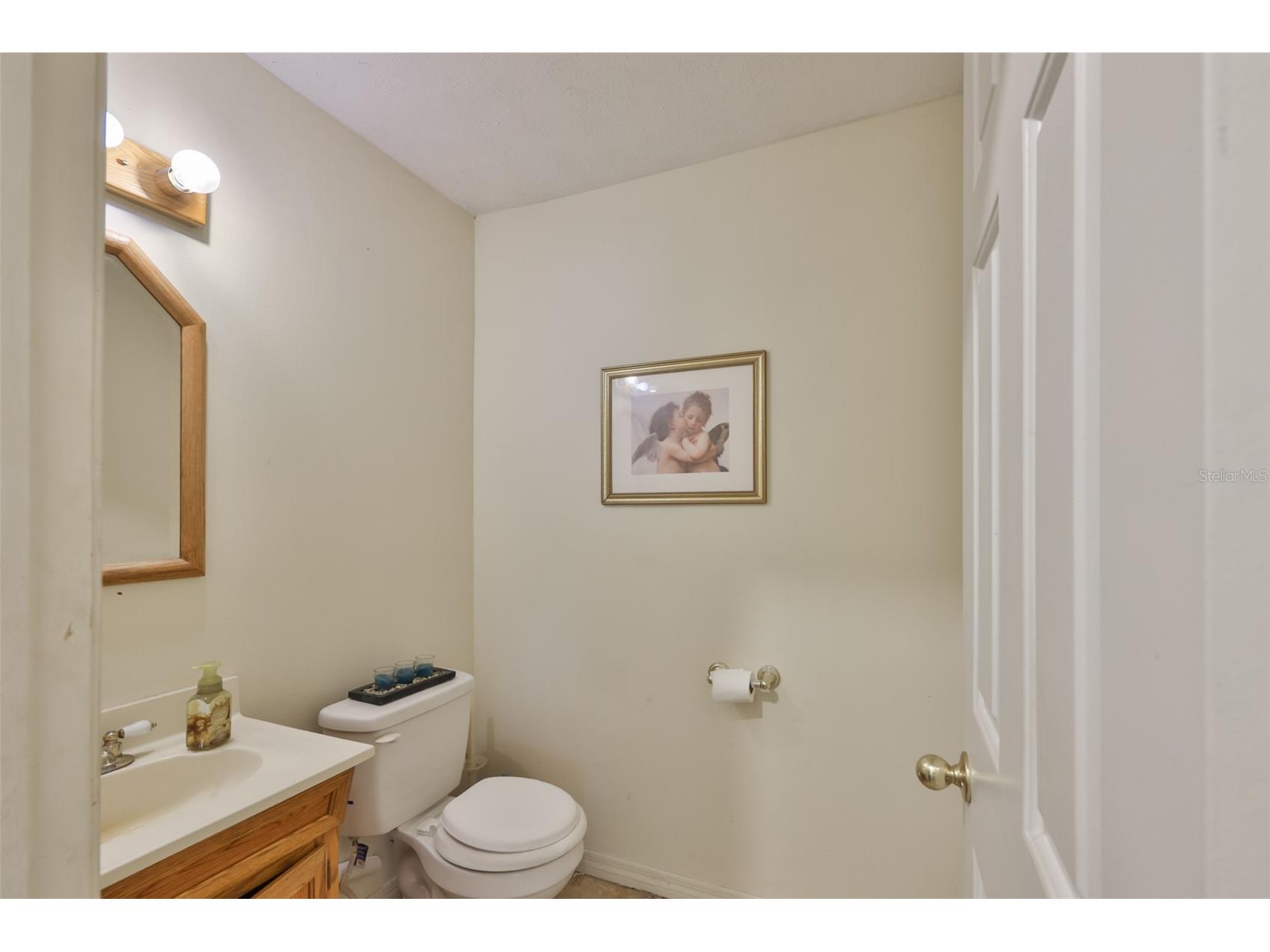 2710 Lewis Road Dover FL 33527 TB8509729 image31