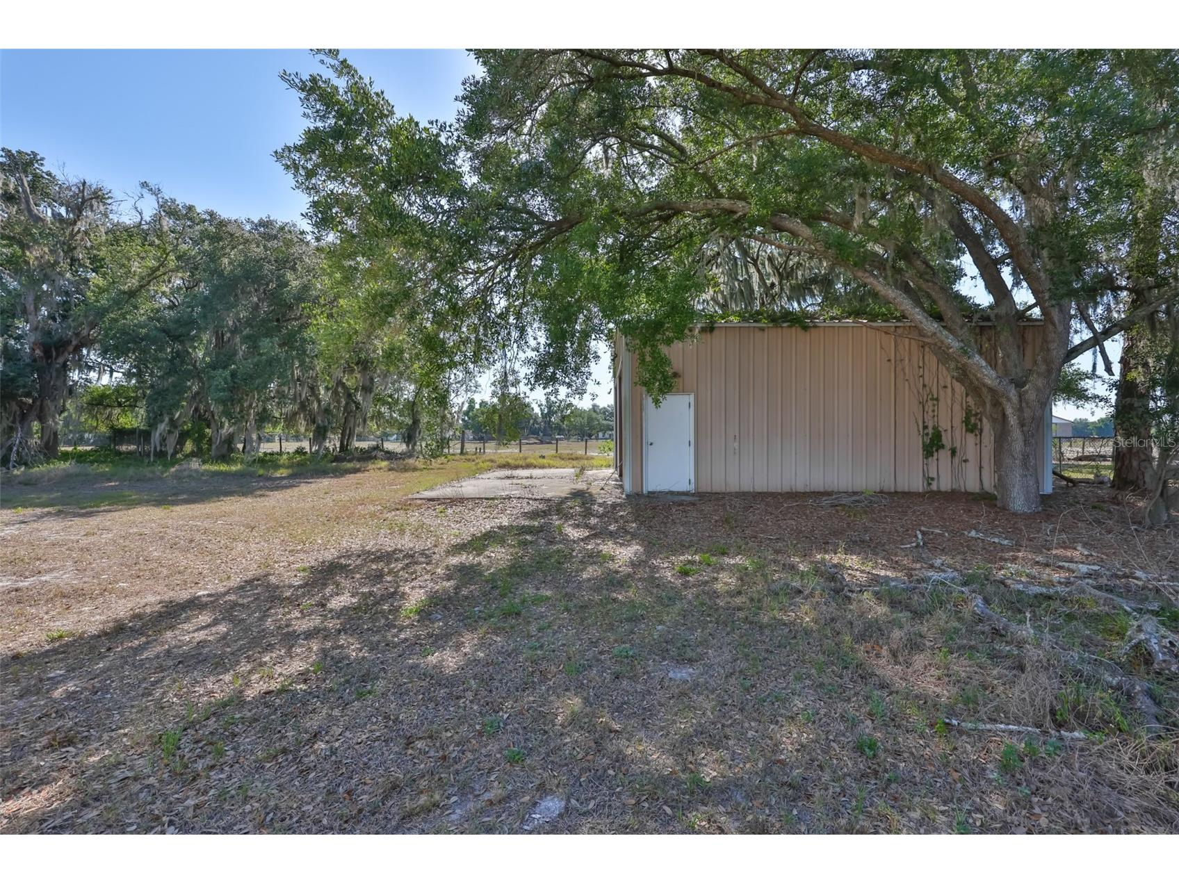 2710 Lewis Road Dover FL 33527 TB8509729 image46