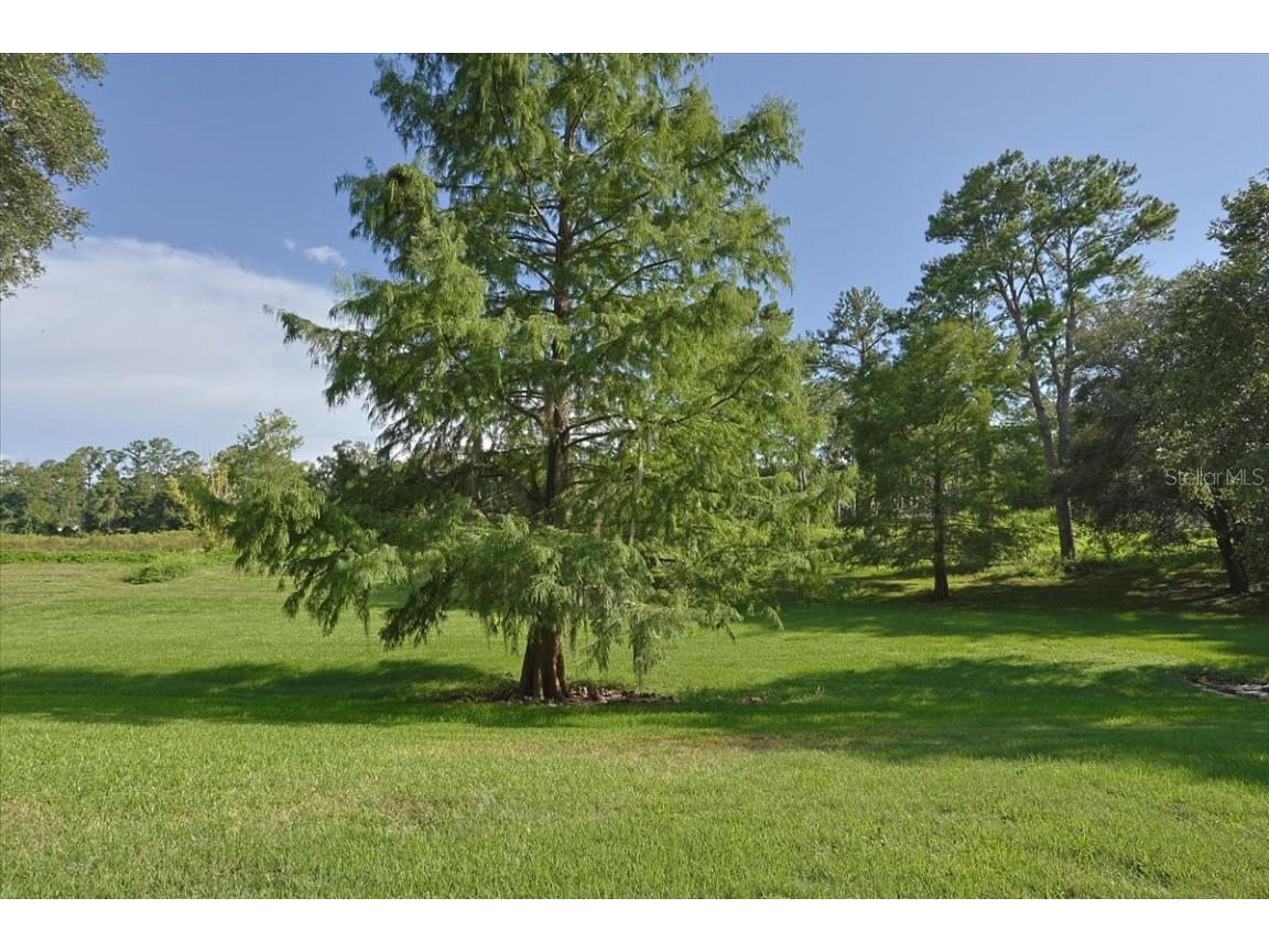 2710 NW 105th Drive Gainesville FL 32606 GC532629 image2