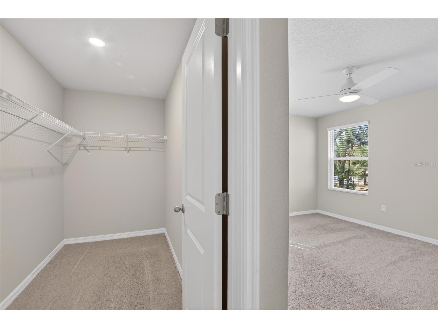 2710 Scarlet Bay Place Brandon FL 33510 TB8476822 image42