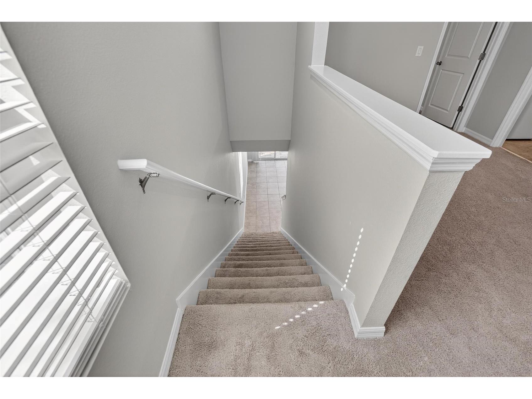 2710 Scarlet Bay Place Brandon FL 33510 TB8508162 image38