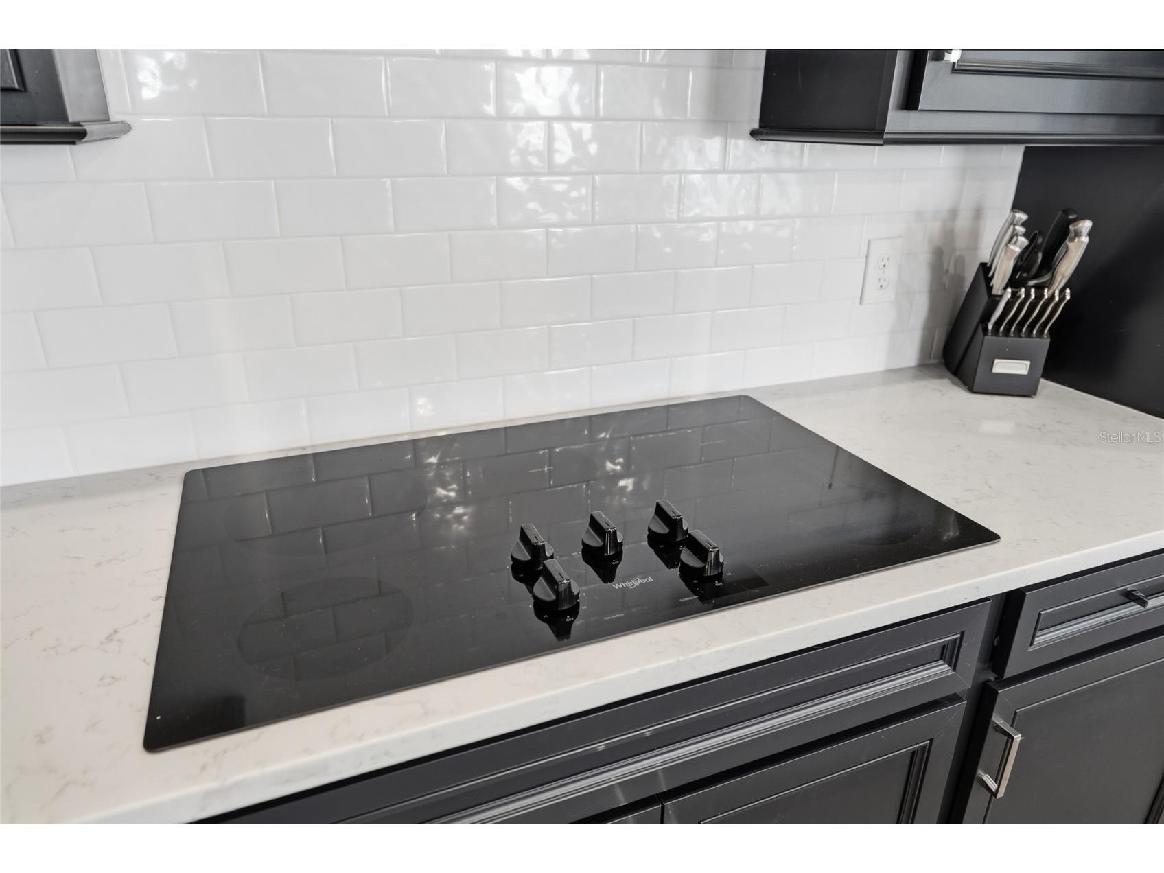 2710 Serenity Garden Drive Kissimmee FL 34744 S5149998 image15