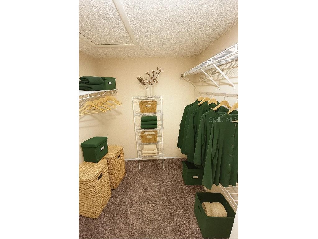 2710 Springfield Drive Ocoee FL 34761 O6330846 image11