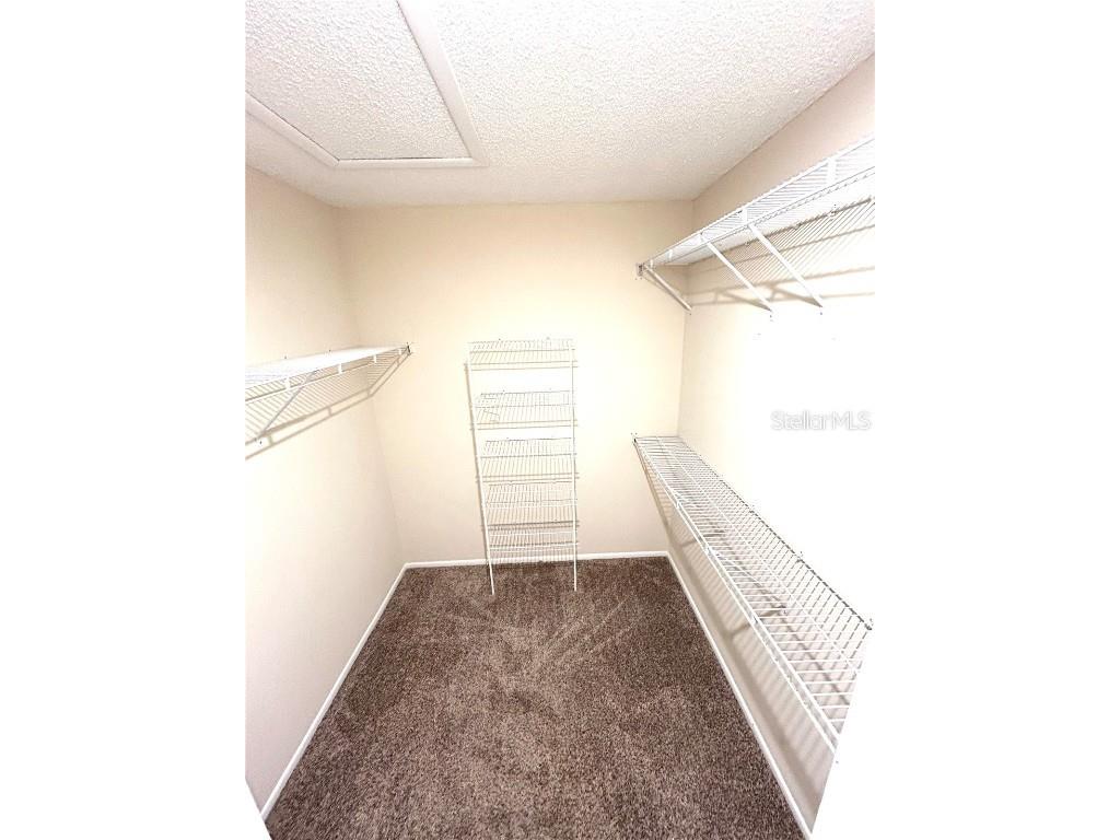 2710 Springfield Drive Ocoee FL 34761 O6330846 image12