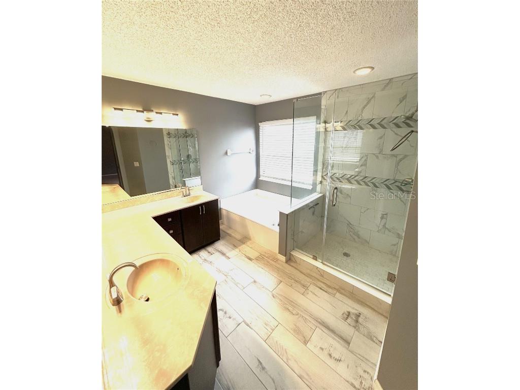 2710 Springfield Drive Ocoee FL 34761 O6330846 image13