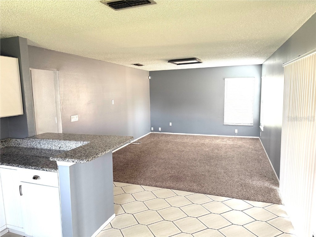 2710 Springfield Drive Ocoee FL 34761 O6330846 image8