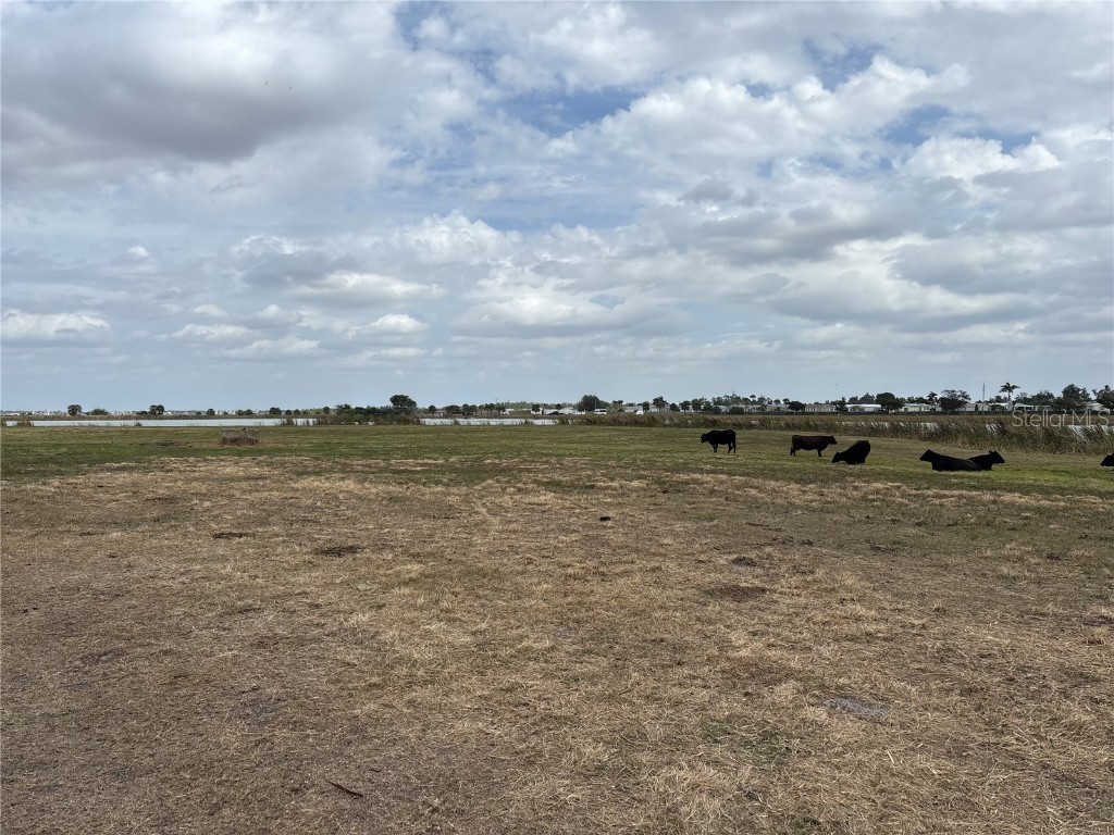 27100 Jones Loop Road Punta Gorda FL 33982 TB8410392 image13