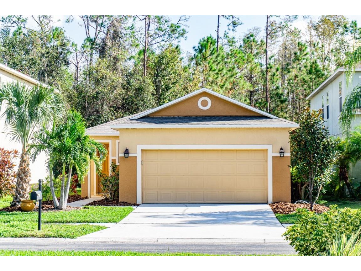 27100 Stillbrook Drive Wesley Chapel FL 33544 TB8319627 image1