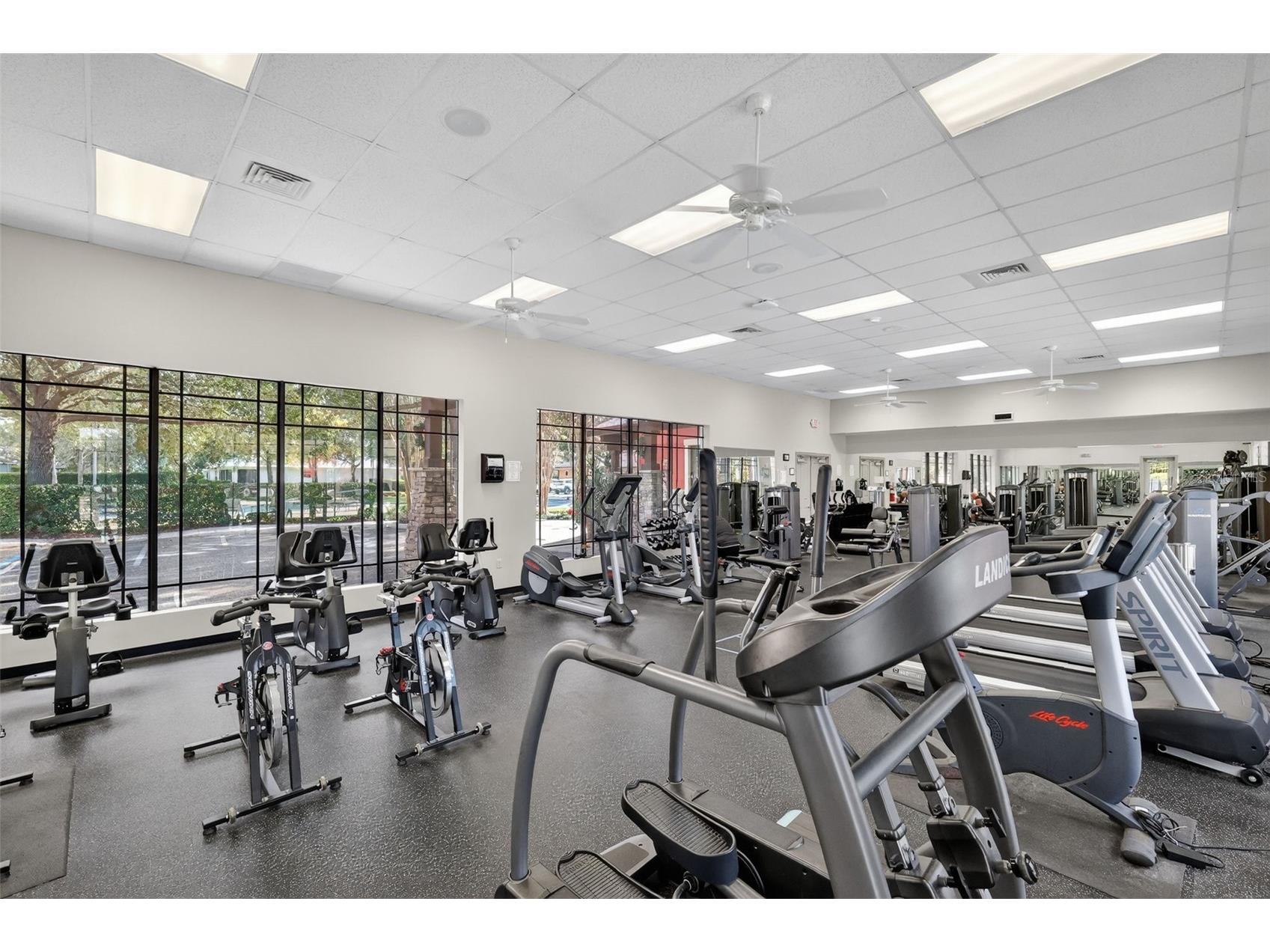 27102 Camerons Run Leesburg FL 34748 OM722565 image31