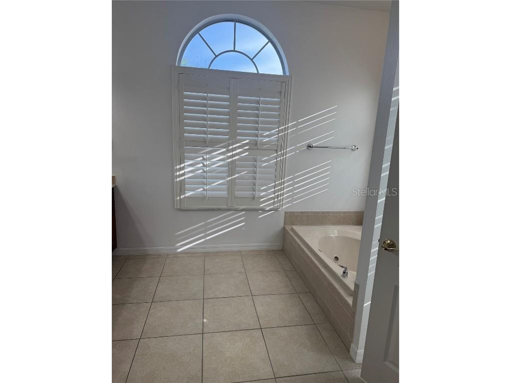 27107 Winged Elm Drive Wesley Chapel FL 33544 TB8417465 image12