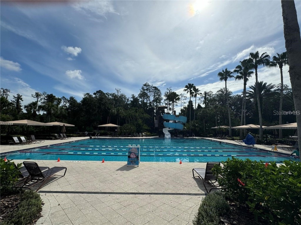 27107 Winged Elm Drive Wesley Chapel FL 33544 TB8417465 image20