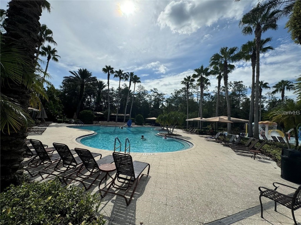 27107 Winged Elm Drive Wesley Chapel FL 33544 TB8417465 image21