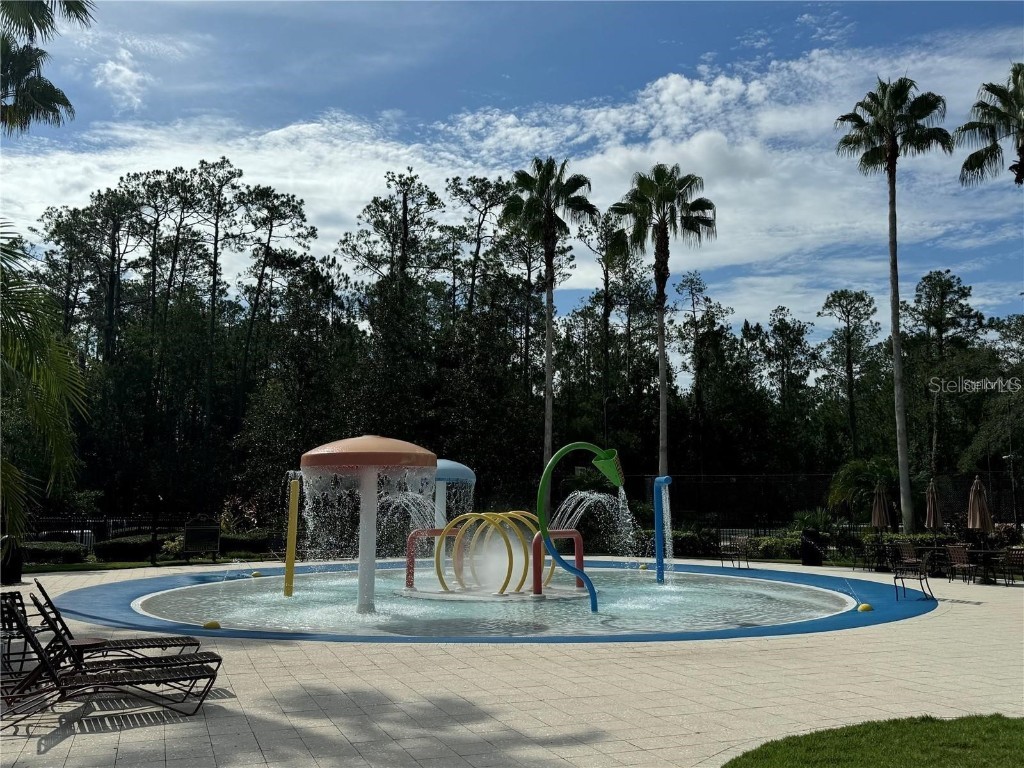 27107 Winged Elm Drive Wesley Chapel FL 33544 TB8417465 image22