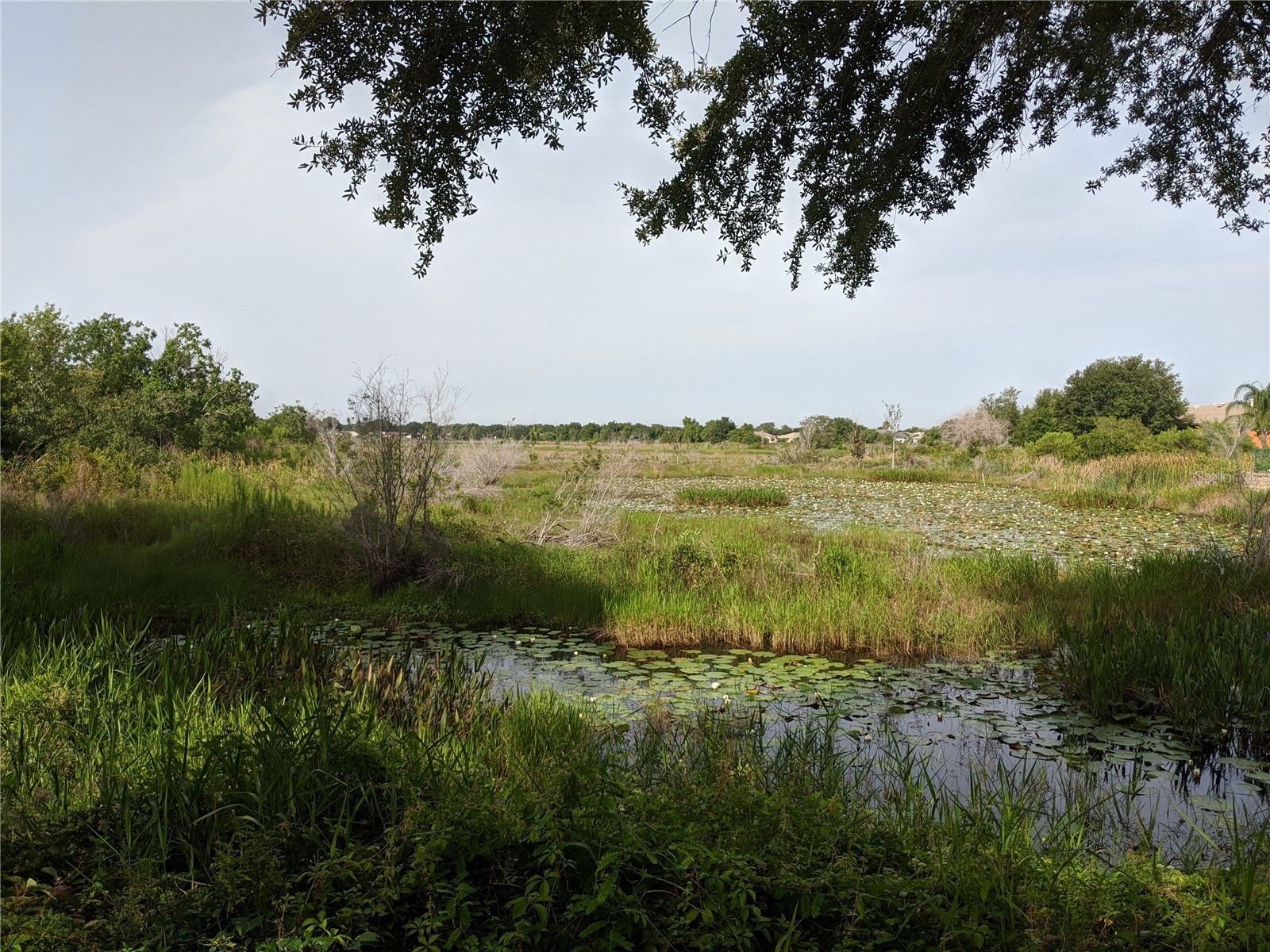 27108 Stoney Brook Drive Leesburg FL 34748 G5107990 image46