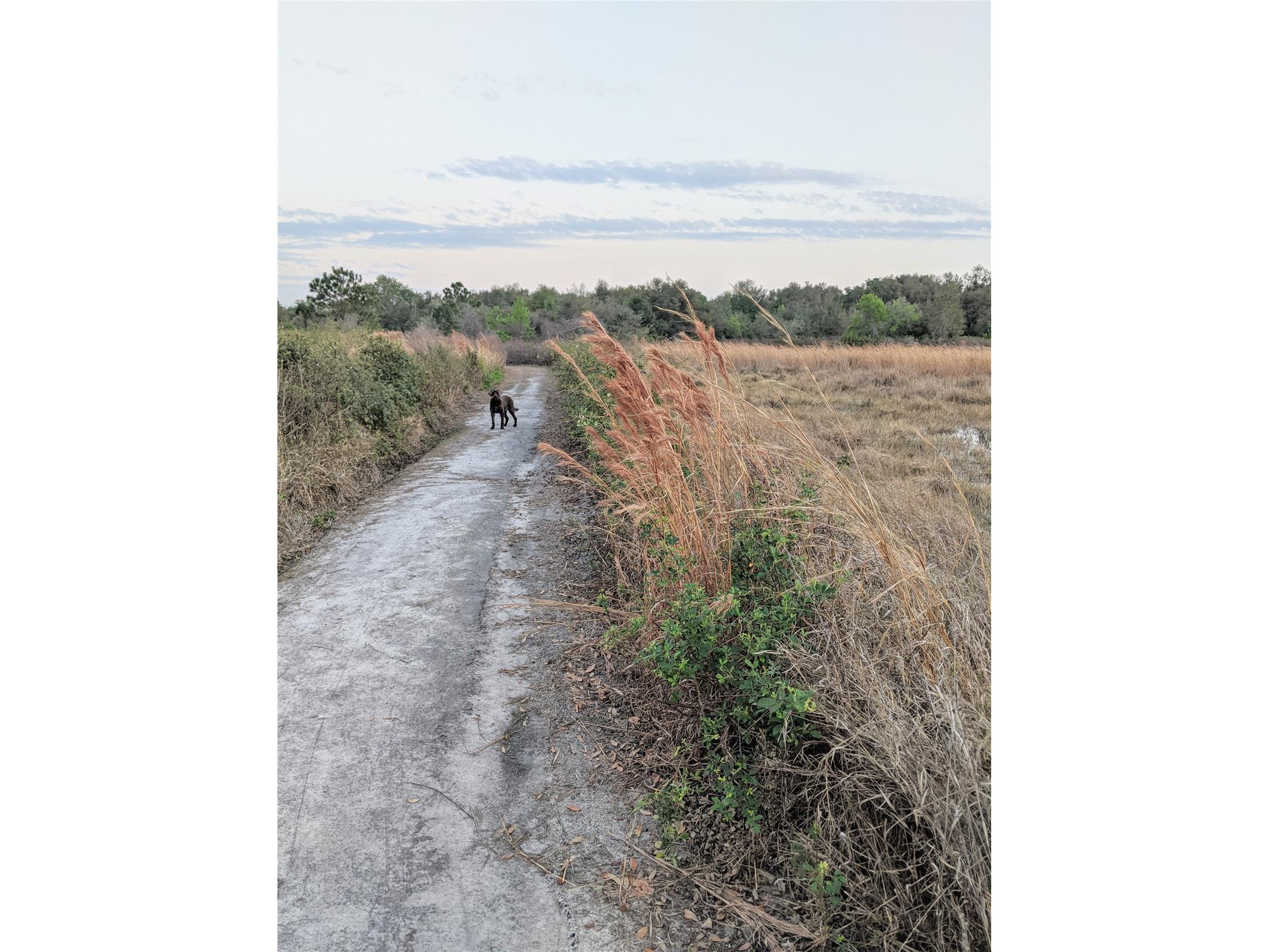 27108 Stoney Brook Drive Leesburg FL 34748 G5107990 image48