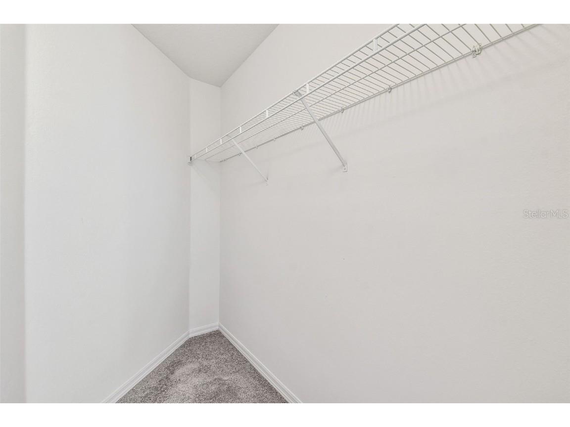 27109 Coral Springs Drive Wesley Chapel FL 33544 TB8415952 image53