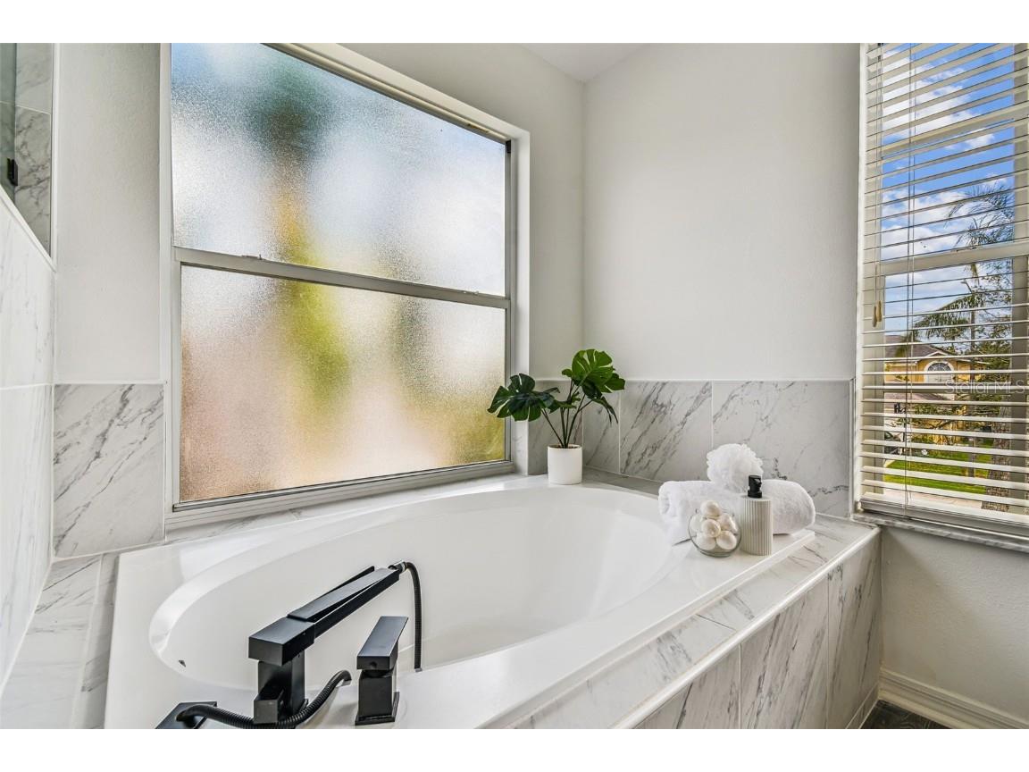 27109 Coral Springs Drive Wesley Chapel FL 33544 TB8415952 image76