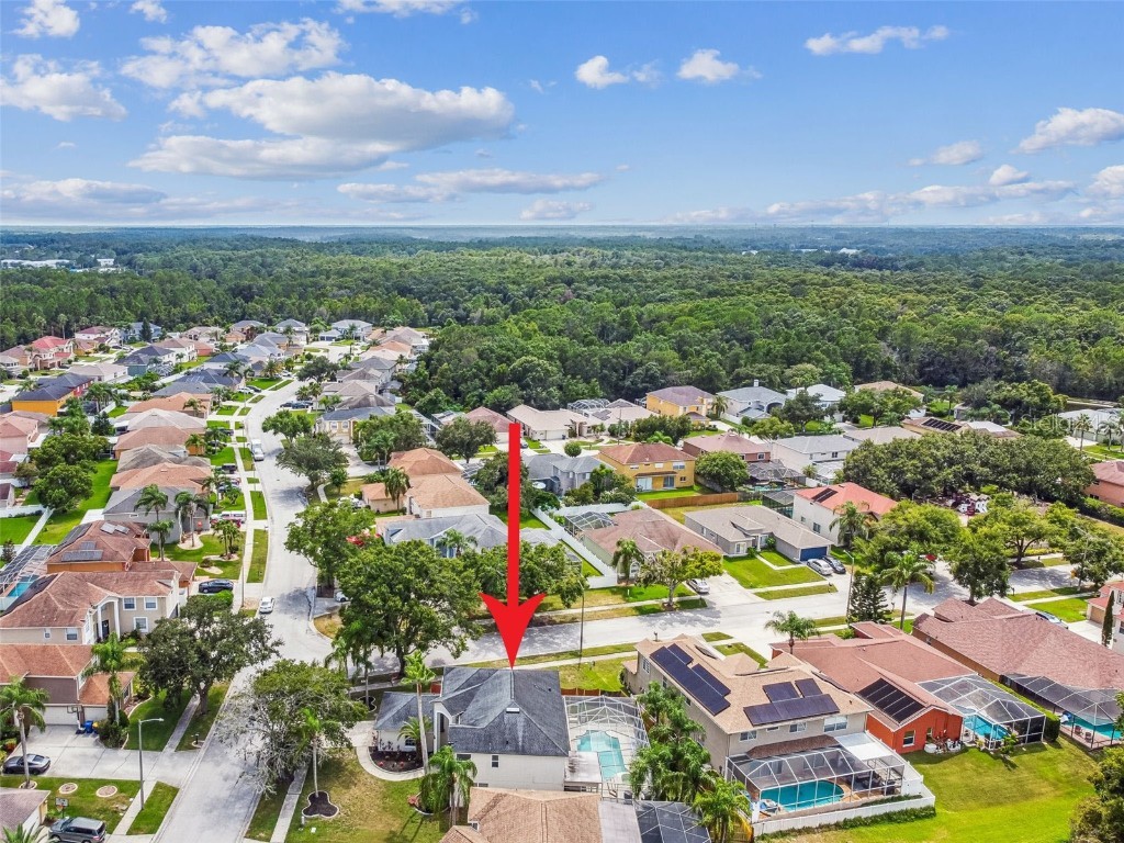 27109 Coral Springs Drive Wesley Chapel FL 33544 TB8415952 image87