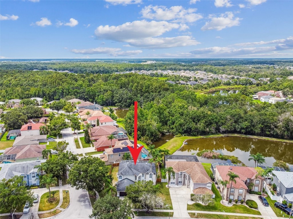 27109 Coral Springs Drive Wesley Chapel FL 33544 TB8415952 image89