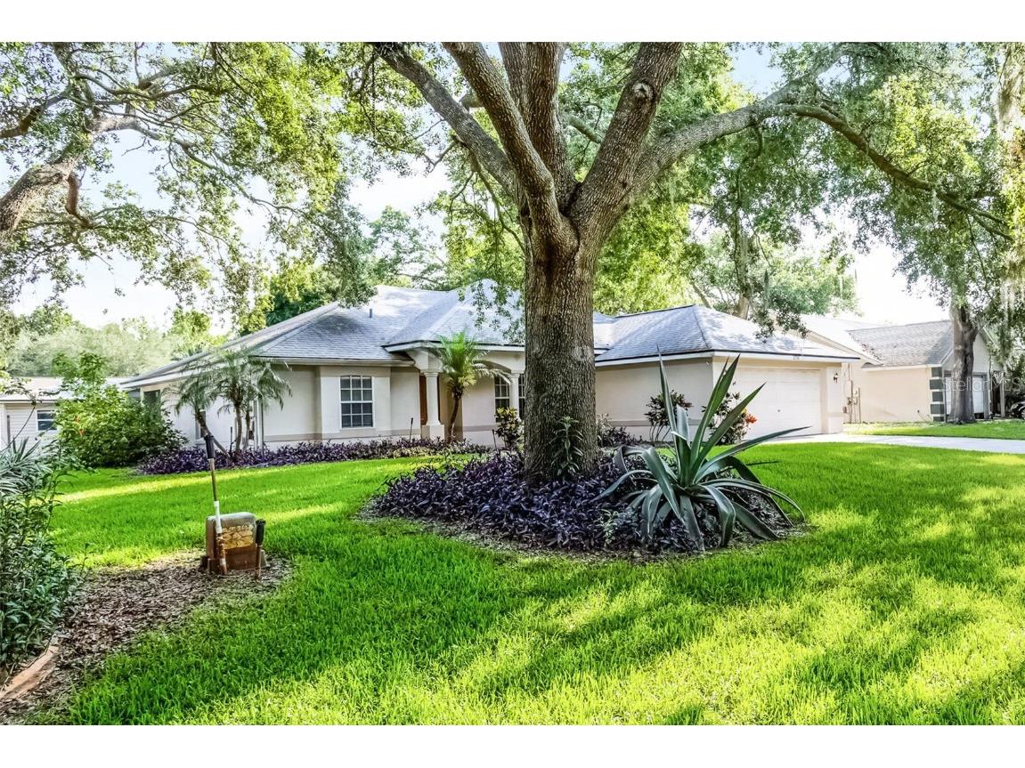 2711 Bayview Drive Eustis FL 32726 G5097277 image5