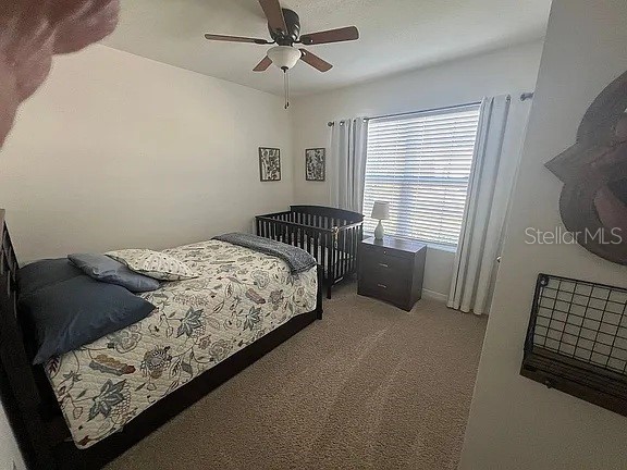 2711 Neverland Drive New Smyrna Beach FL 32168 O6304841 image13