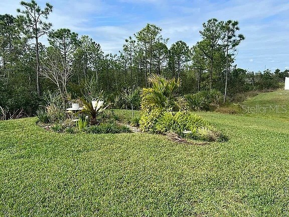 2711 Neverland Drive New Smyrna Beach FL 32168 O6304841 image31