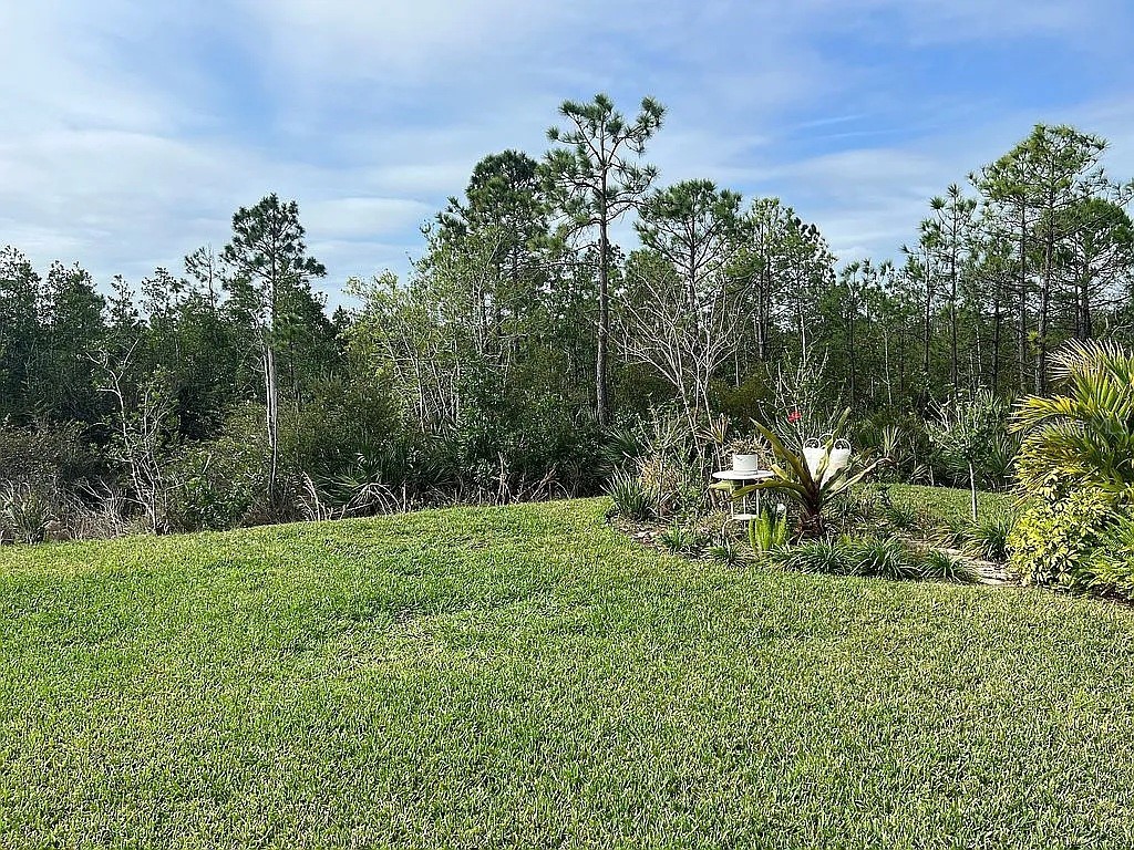 2711 Neverland Drive New Smyrna Beach FL 32168 O6304841 image32
