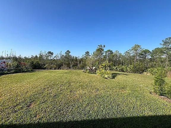 2711 Neverland Drive New Smyrna Beach FL 32168 O6304841 image35