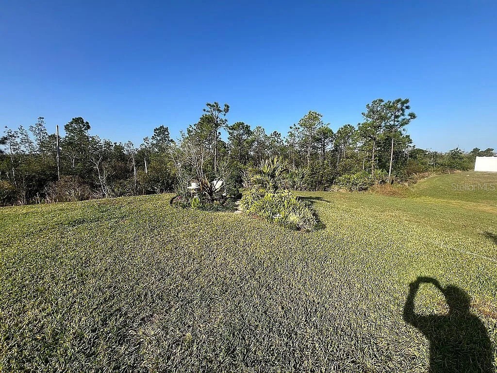 2711 Neverland Drive New Smyrna Beach FL 32168 O6304841 image36