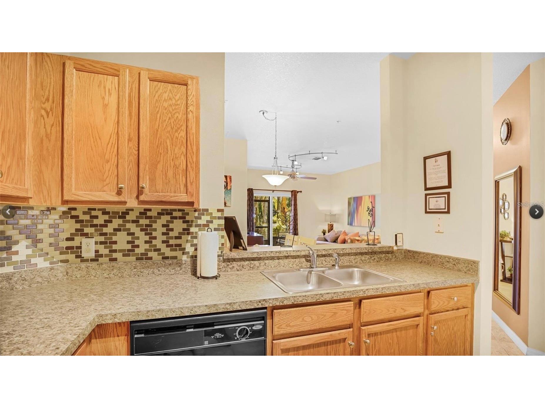 2711 Oakwater Drive #116 Kissimmee FL 34747 O6397075 image4