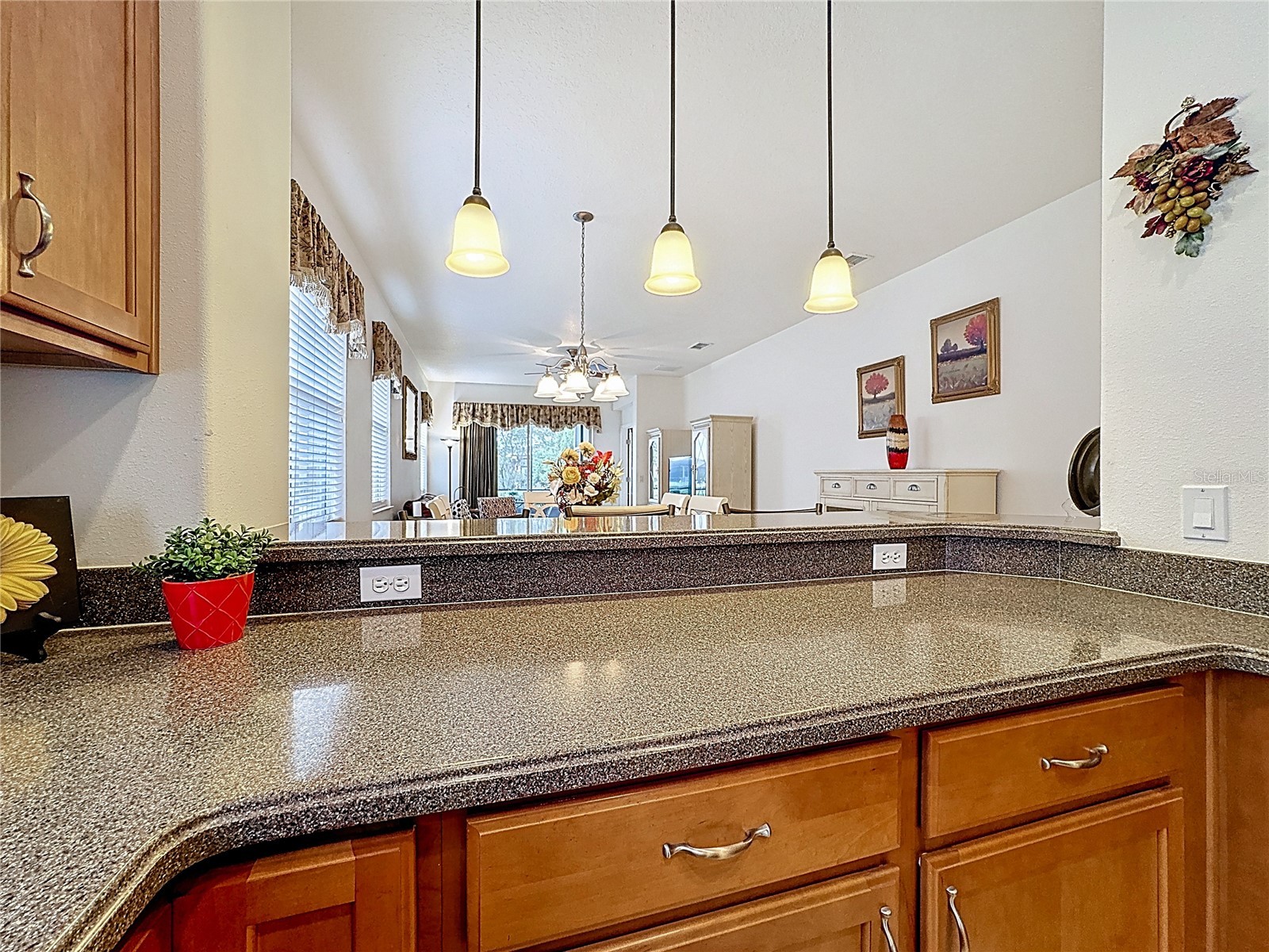 2711 Palm Tree Drive Kissimmee FL 34759 S5141938 image19