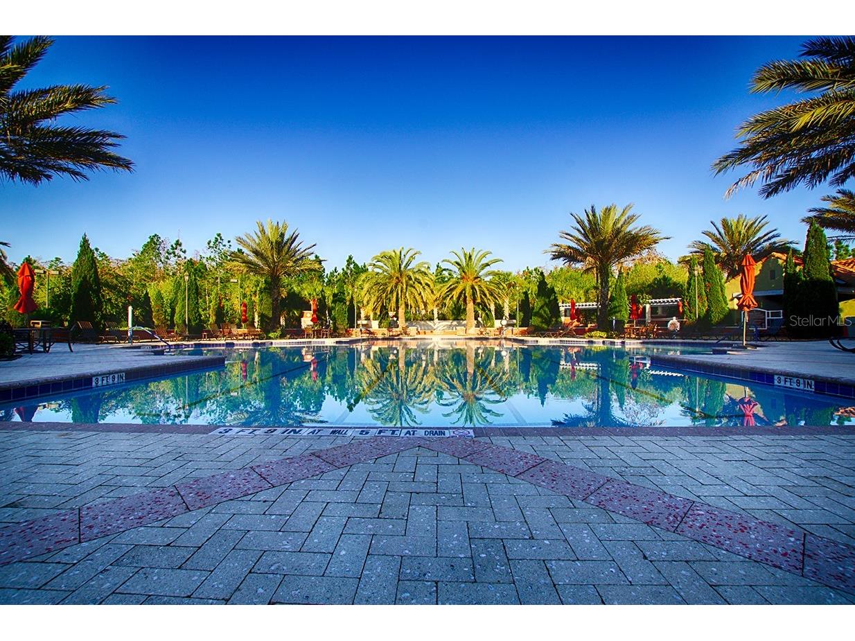 2711 Palm Tree Drive Kissimmee FL 34759 S5141938 image68