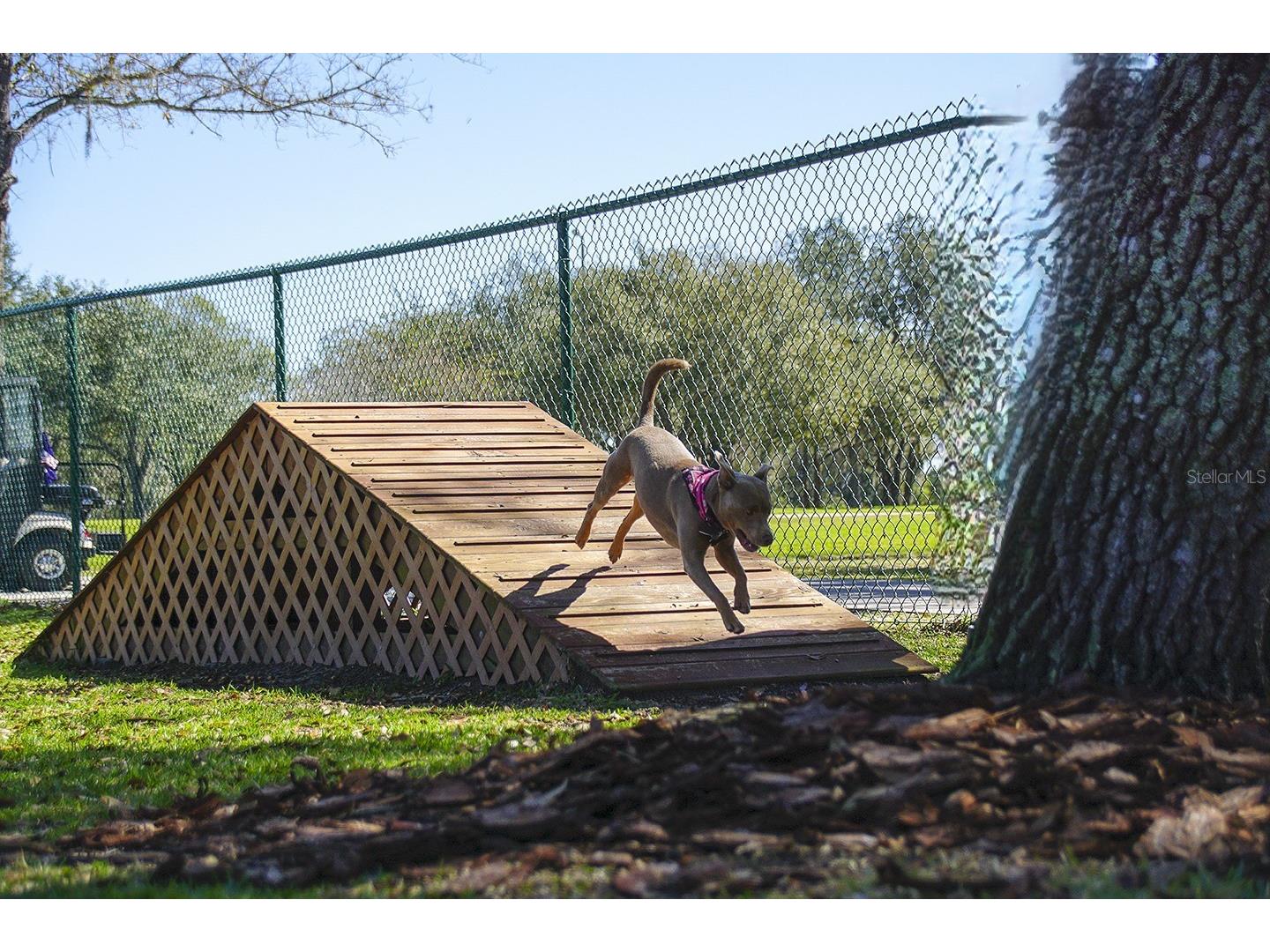 2711 Palm Tree Drive Kissimmee FL 34759 S5141938 image72