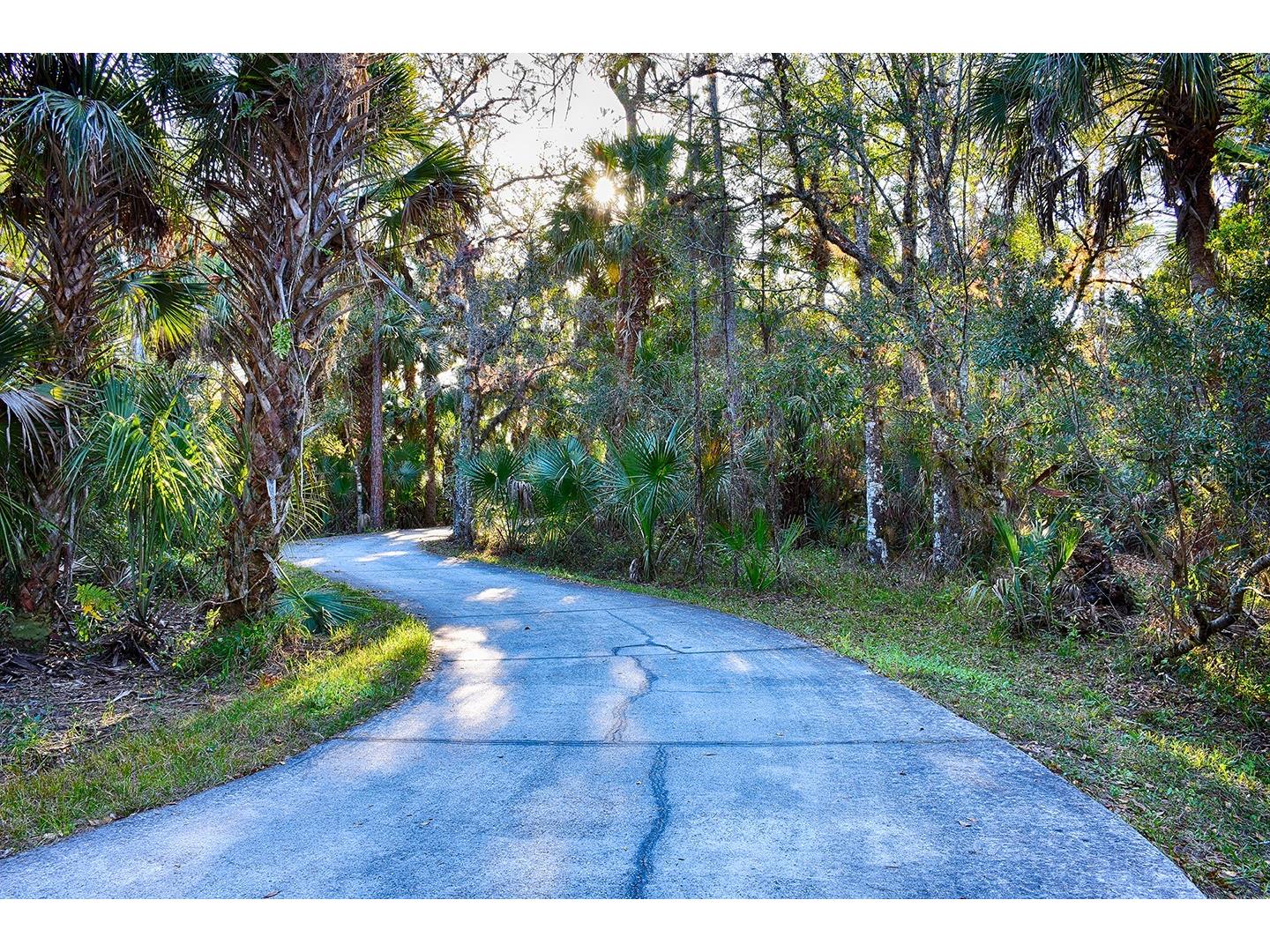 2711 Palm Tree Drive Kissimmee FL 34759 S5141938 image76