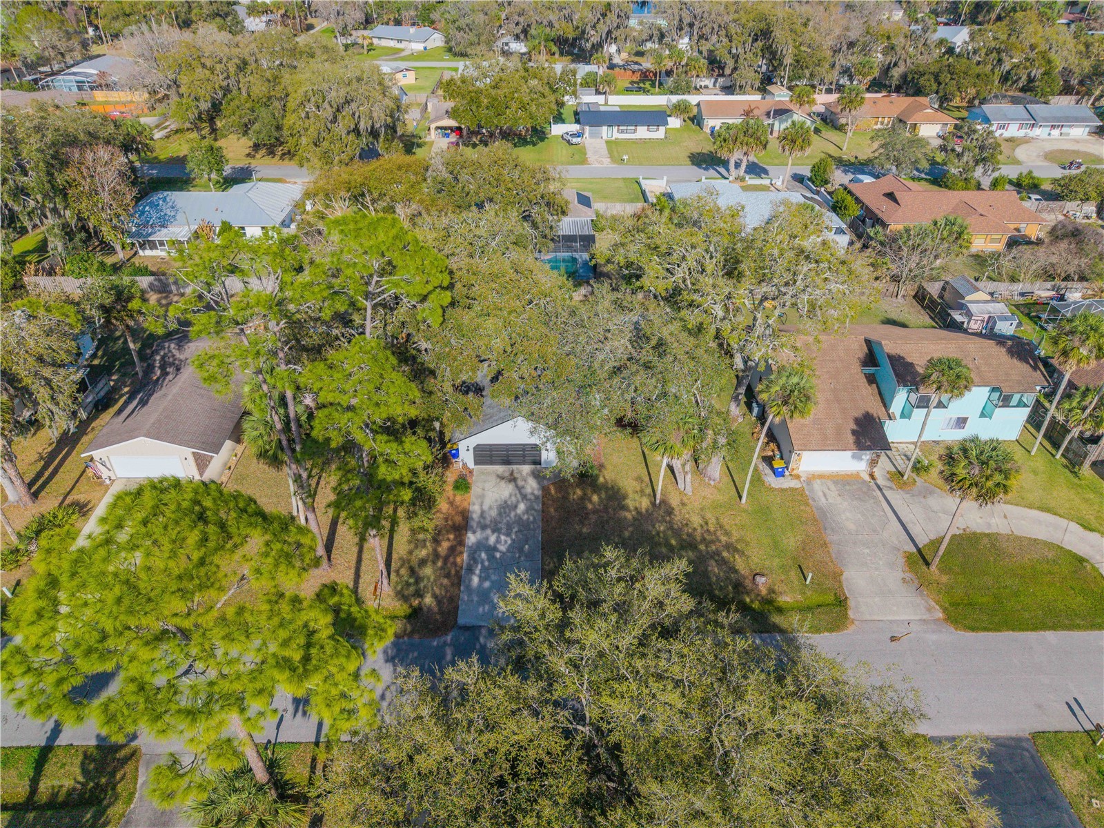 2711 Pine Tree Drive Edgewater FL 32141 NS1087551 image41