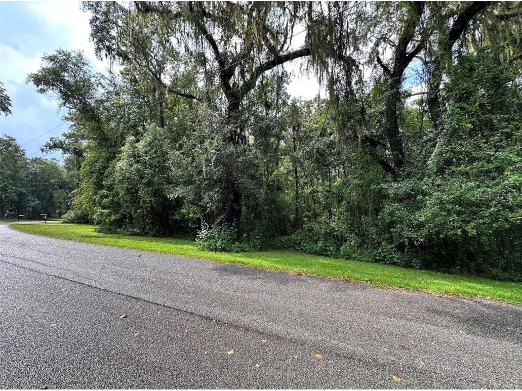 27111 Redfox Drive Brooksville FL 34602 W7881799 image2