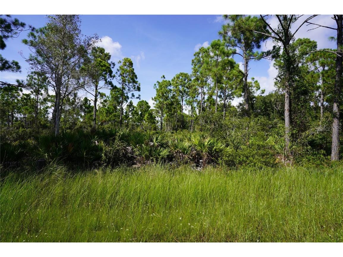 27112 Lacoquina Drive Punta Gorda FL 33955 C7496979 image1