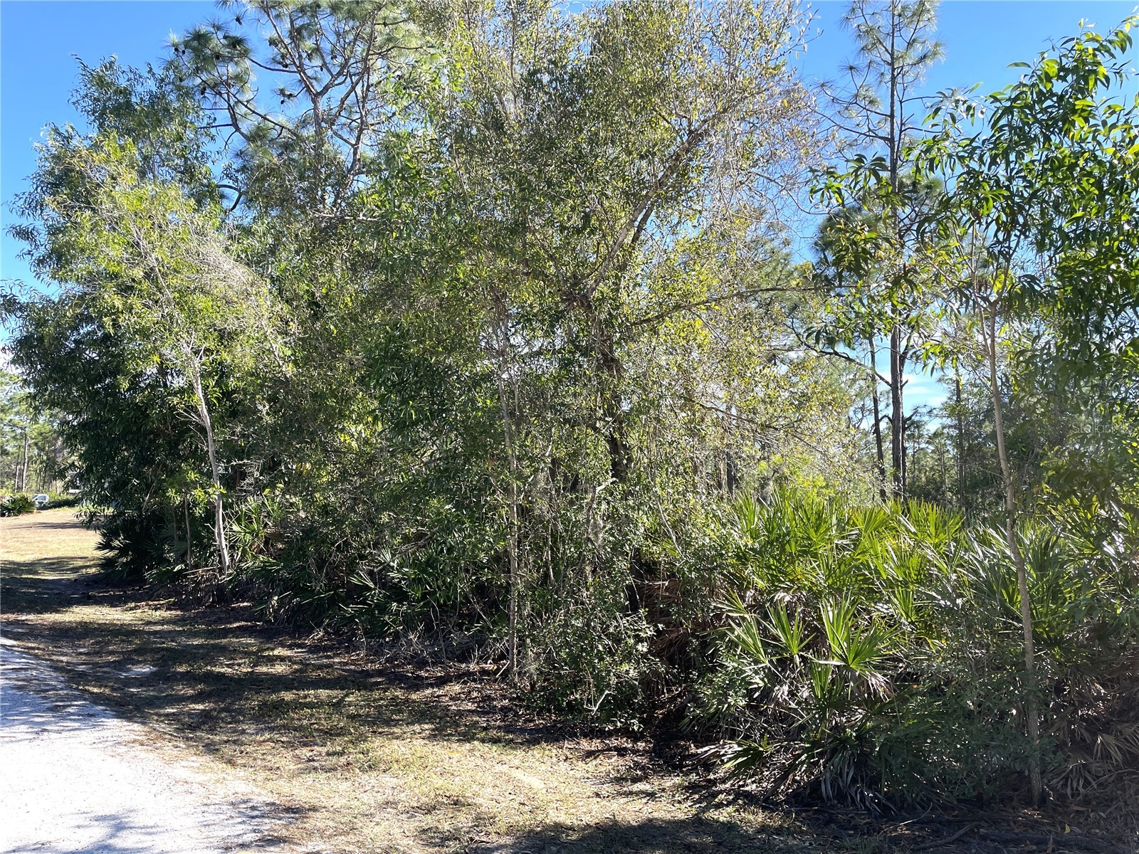 27115 Seeger Drive Punta Gorda FL 33955 C7520537 image3
