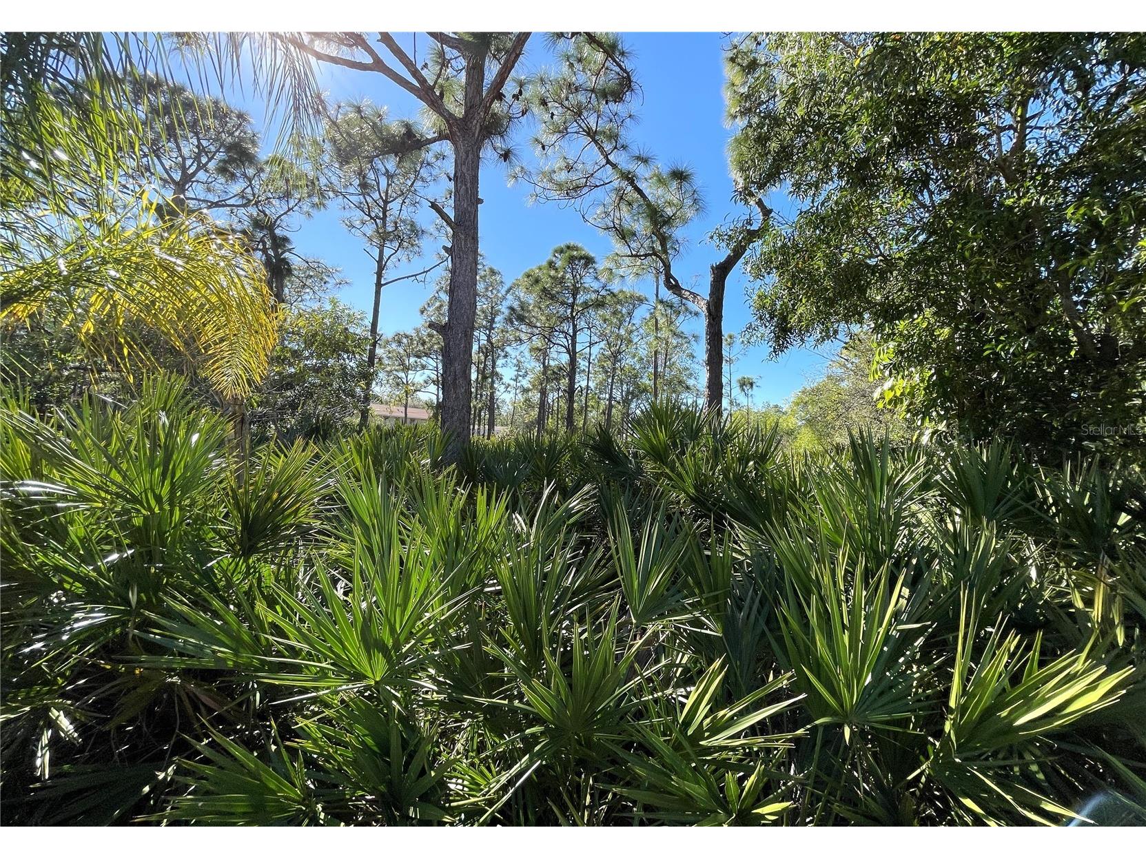 27115 Seeger Drive Punta Gorda FL 33955 C7520537 image8