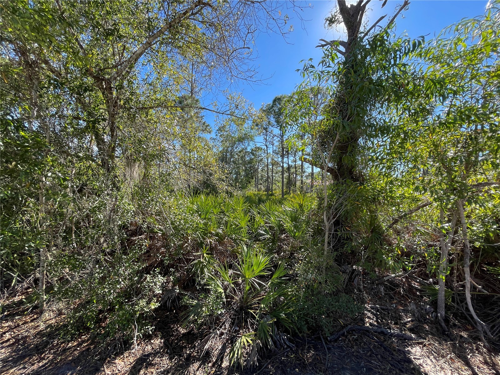 27115 Seeger Drive Punta Gorda FL 33955 C7520537 image9