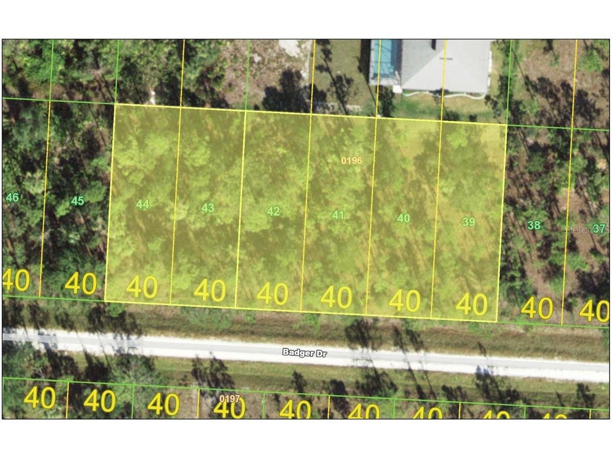 27116 Badger Drive Punta Gorda FL 33955 A4596139 image1