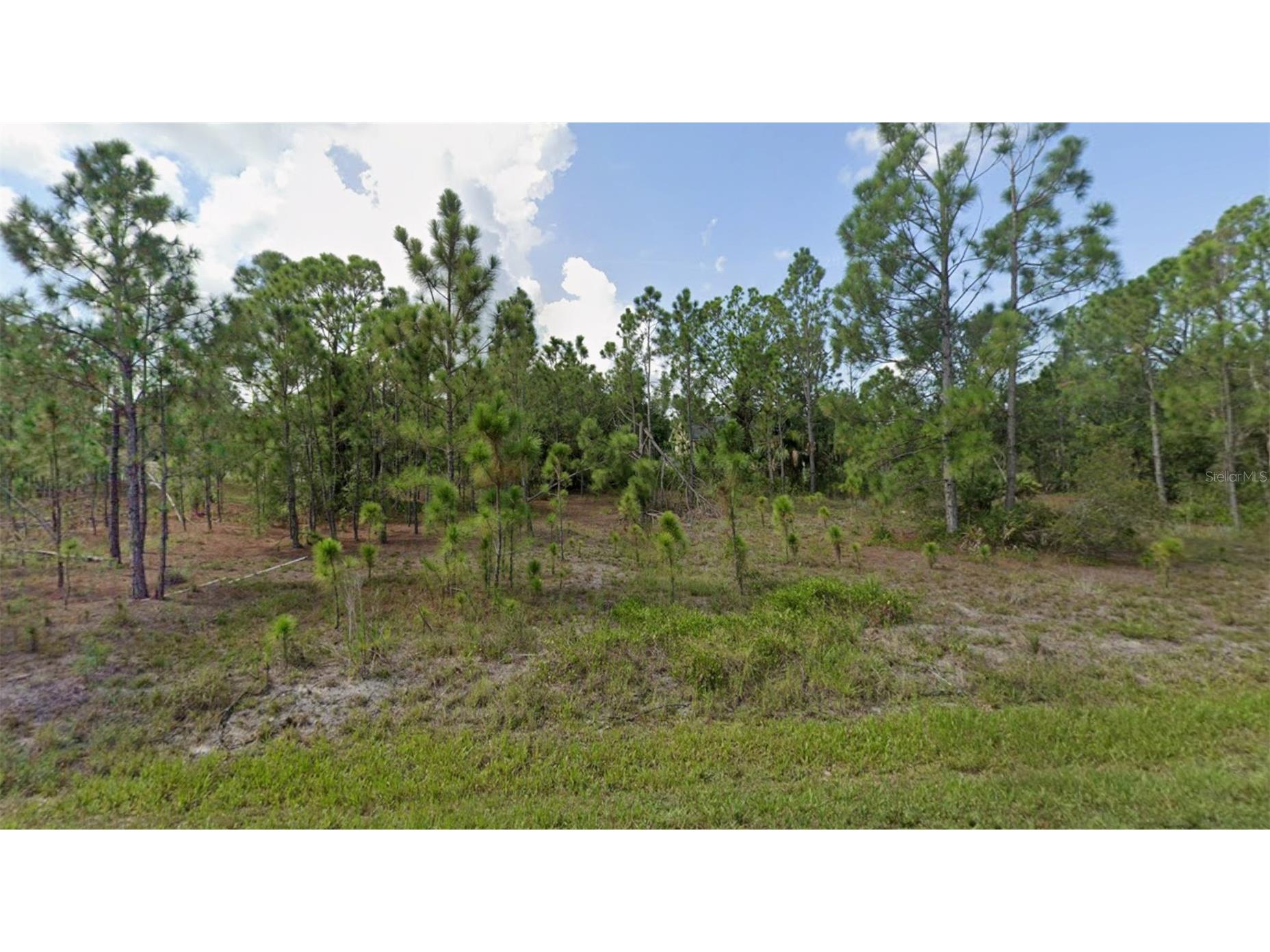 27117 Badger Drive Punta Gorda FL 33955 A4693367 image2