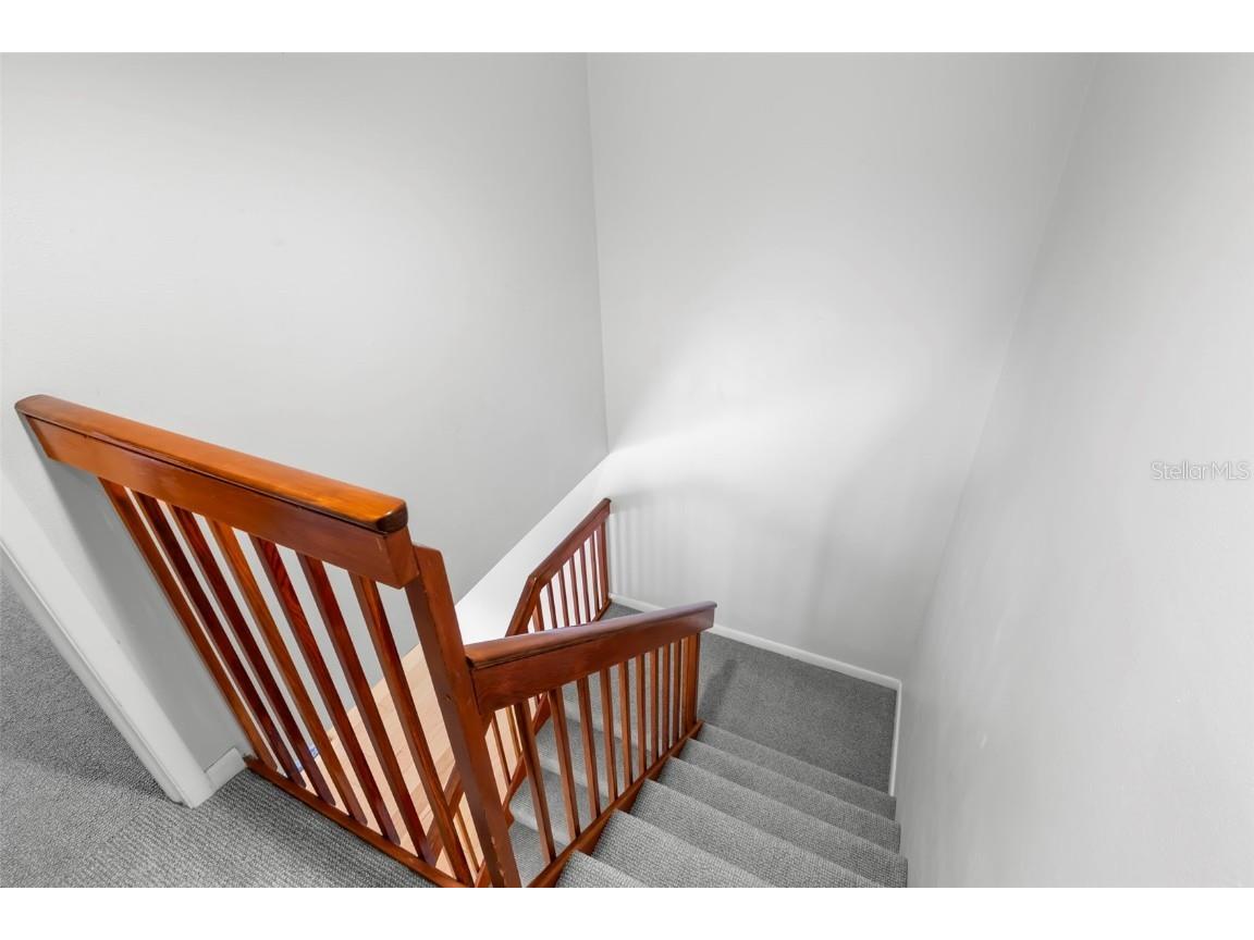 2712 12th Court Palm Harbor FL 34684 TB8403904 image21