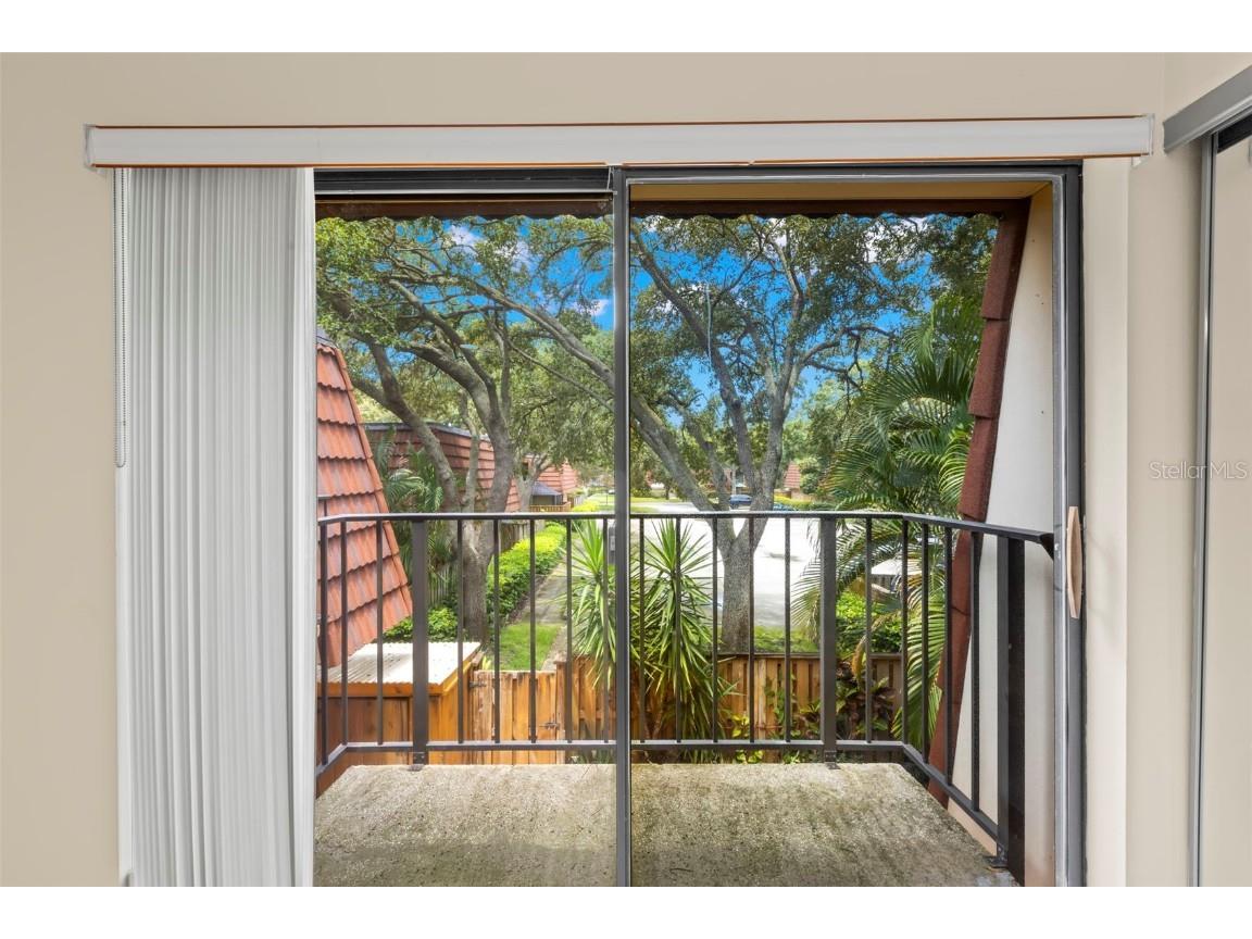 2712 12th Court Palm Harbor FL 34684 TB8403904 image24