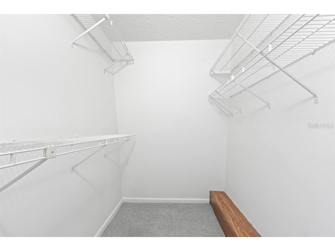 2712 12th Court Palm Harbor FL 34684 TB8403904 image26